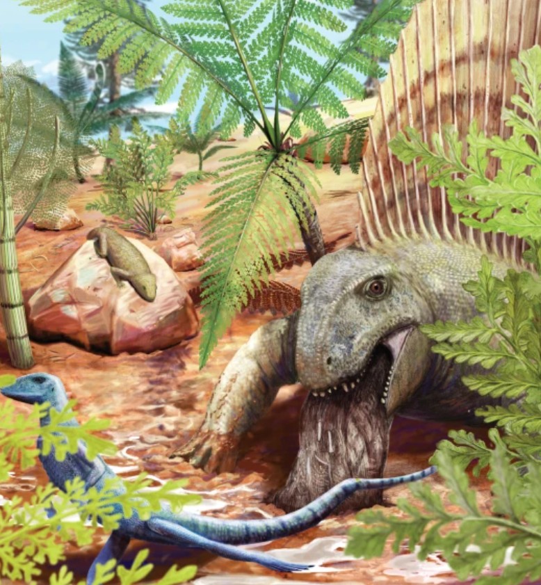 Fossil close-up